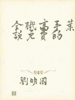 全职高手叶修小说免费的