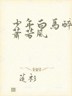 少年白马醉春风萧若风