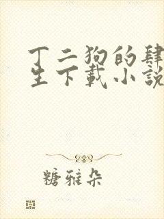 丁二狗的肆意人生下载小说全文