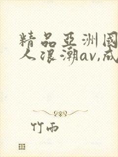 精品亚洲国产成人浪潮av,成人激封面