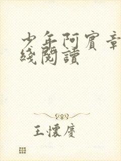 少年阿宾章节在线阅读封面