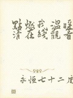 点燃我温暖你高清在线观看电视剧