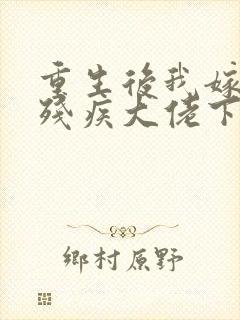 重生后我嫁给了残疾大佬下载