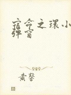 宿命之环小说无弹窗