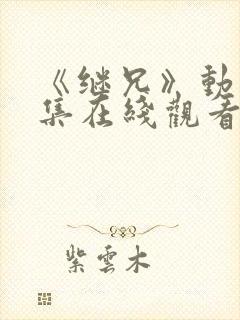 《继兄》动漫全集在线观看