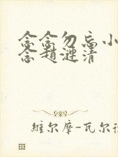 念念勿忘小说沈念赵涟清