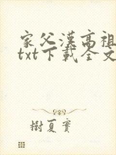 家父汉高祖小说txt下载全文封面