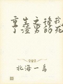 重生之后我嫁给了渣男的死对头短剧