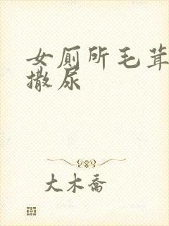 女厕所毛茸茸的撒尿