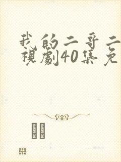 我的二哥二嫂电视剧40集免费观看封面