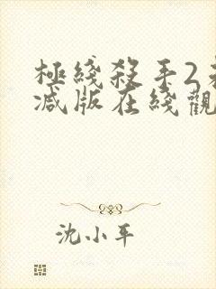 极线杀手2未删减版在线观看