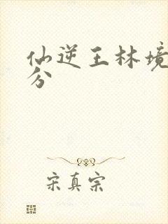 仙逆王林境界划分