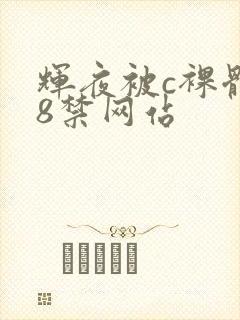 辉夜被c裸体18禁网站