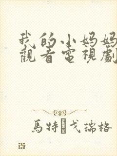 我的小妈妈免费观看电视剧