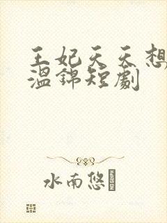 王妃天天想休夫温锦短剧封面