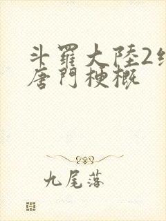 斗罗大陆2绝世唐门梗概