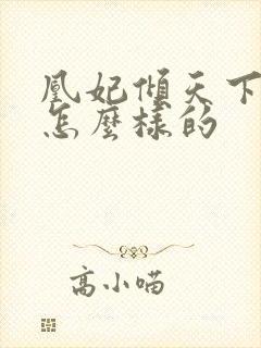 凰妃倾天下结局怎么样的