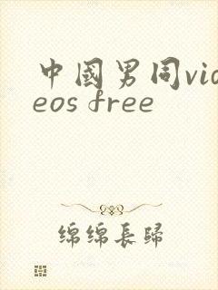中国男同videos free封面