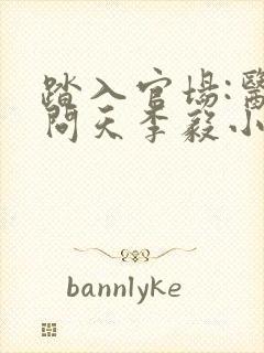 踏入官场:医道问天李毅小说封面