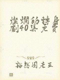 灿烂的转身电视剧40集免费观看高清