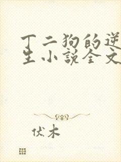 丁二狗的逆袭人生小说全文阅读封面