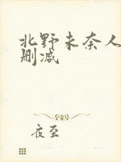 北野未奈人妻无删减封面