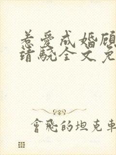 惹爱成婚顾惜陆靖骁全文免费结局