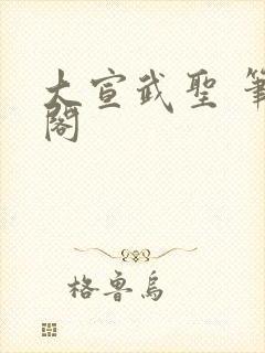 大宣武圣 笔趣阁封面