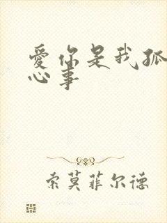 爱你是我孤独的心事