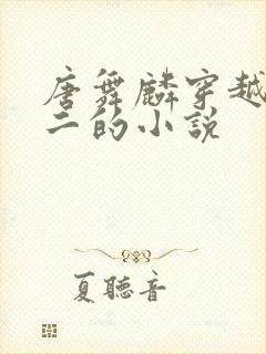 唐舞麟穿越到斗二的小说