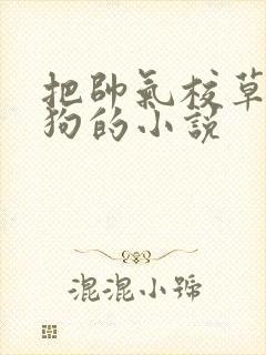 把帅气校草训成狗的小说