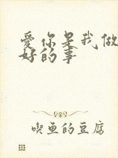 爱你是我做过做好的事