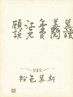 顾江年姜慕晚小说免费阅读