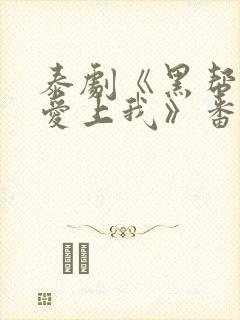 泰剧《黑帮少爷爱上我》番外