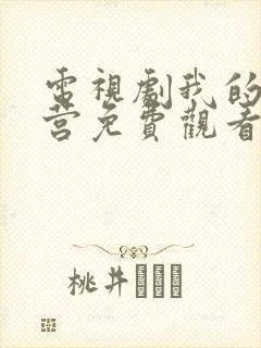 电视剧我的特一营免费观看封面