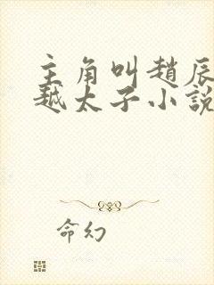 主角叫赵辰的穿越太子小说