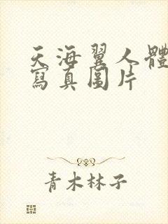 天海翼人体艺术写真图片