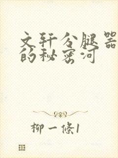 文轩分腿器河马的秘密河