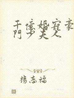 千亿婚宠豪取豪门少夫人