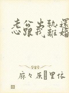 老公出轨还铁了心跟我离婚怎么办?封面