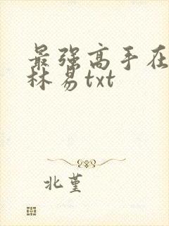 最强高手在都市林易txt