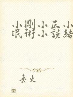 小刚小正小柔催眠术小说结局