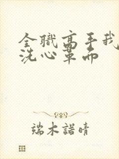 全职高手我刘皓洗心革面