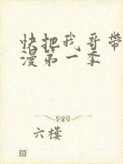 快把我哥带走动漫第一季