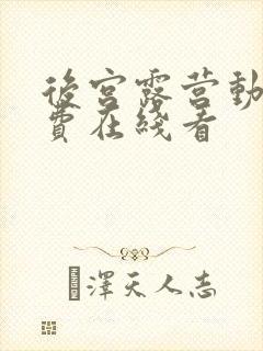 后宫露营动漫免费在线看封面