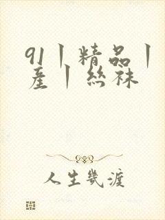 91丨精品丨国产丨丝袜