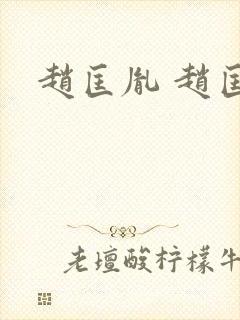 赵匡胤 赵匡义封面