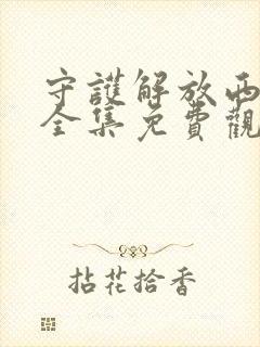 守护解放西4季全集免费观看