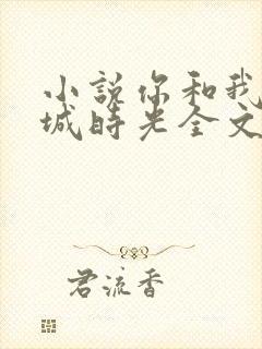小说你和我的倾城时光全文免费阅读