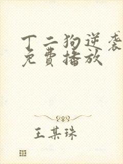 丁二狗逆袭人生免费播放封面